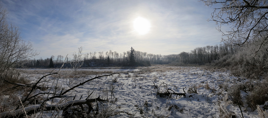 One of Many Ponds